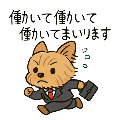 Did you remember me?