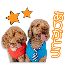 山口家の笑來＆楓華ちゃん