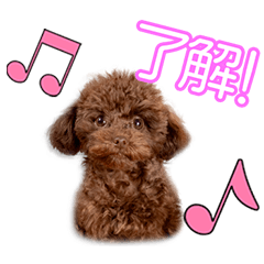 西原家のにこちゃん