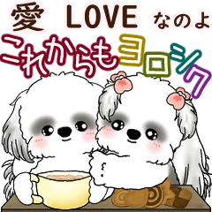 B&W Moving Shih tzu 2025 (It's love)