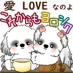 B&W Moving Shih tzu 2025 (It's love)