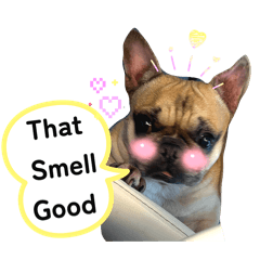 Tammy_20251224200427