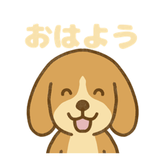 mouqet_20251225035604