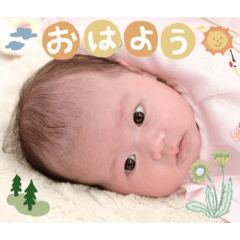 Hanopapa_20251225073839