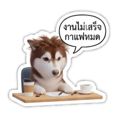 Peeraphat_20251224215359