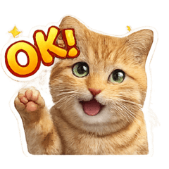 chacha_20251225083503