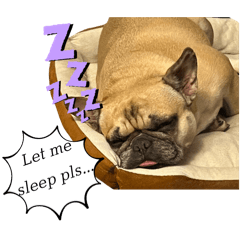 Tammy_20251224215053