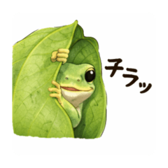 Sakura_20251225084142