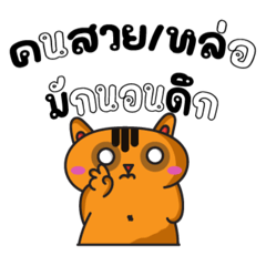 Stupid Cat_20251224230310