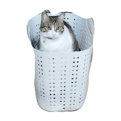 kanon_20251225092914