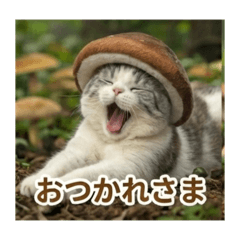 haru.200308_mushroom