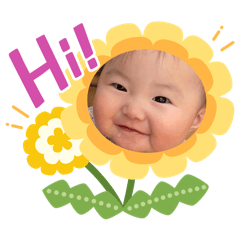 mimika_20251225095429