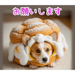 PAKAMOGOLY_20251225100409