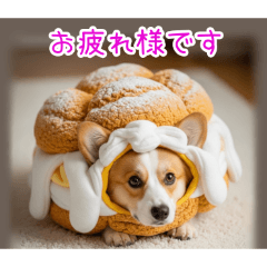 PAKAMOGOLY_20251225100454