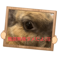 #Rukaria_20251225092905