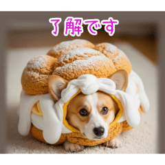 PAKAMOGOLY_20251225100924