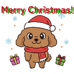 Kakipii_20251225141408