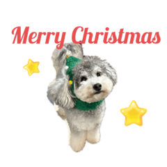 Gomahaha_20251225141644