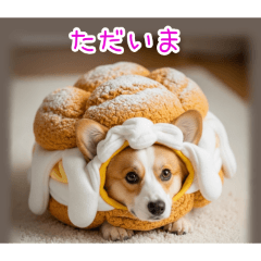 PAKAMOGOLY_20251225100819