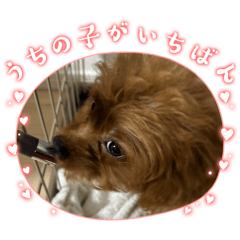 kyabapuu_20251225142152