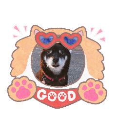 MameKote_20251225141917