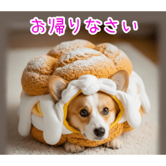 PAKAMOGOLY_20251225100715