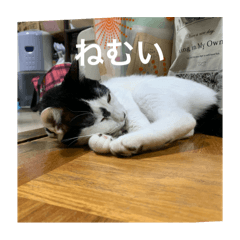 haru@0219_20251225142556