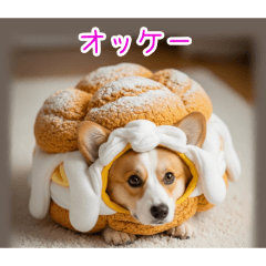 PAKAMOGOLY_20251225101012