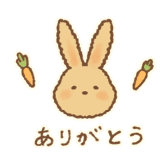 Koyama_20251225143214