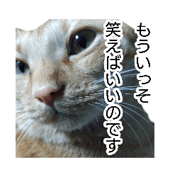 namio_20251225142612