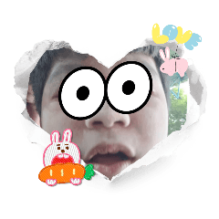 train_20251225082233