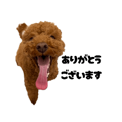 soy8700_20251225143221