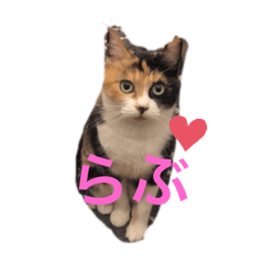 tomomi_20251225142737