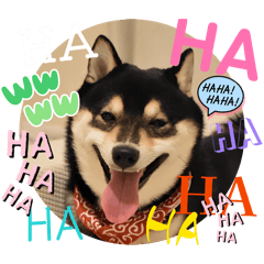 megu-mii_20251225142002