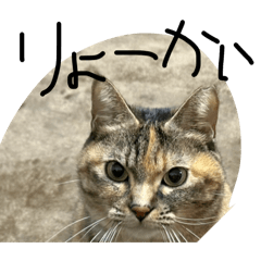 kaede_20251225101347