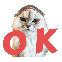 mouchan_20251225102315