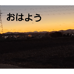 Monkey_20251225103416