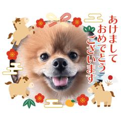 mocotaro_20251225103748