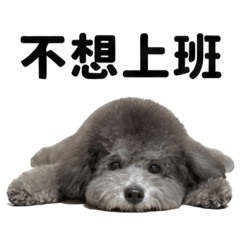 萌萌的日常～第二彈