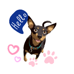 picboony_20251225123734