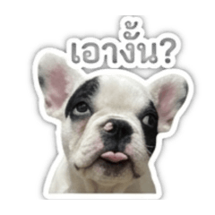 PaopaoStory_20251225115916