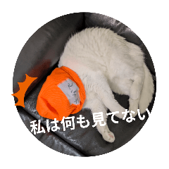 ryunosuke_20251225145608