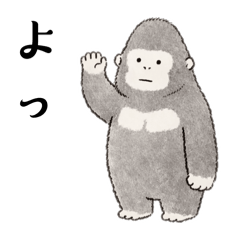 Minami Ltd._20251225005153