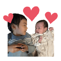 sakkin_20251225150644