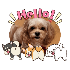 run nee_20251225150824