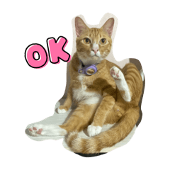 Kanokwan Seadkhuntod_20251225093737