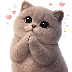 ❤️แมวเทา ตุ้ยนุ้ย❤️(No Text)