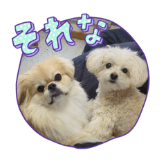 Mococo_20251225120559