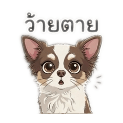 Kate Patpimol_20251225102005