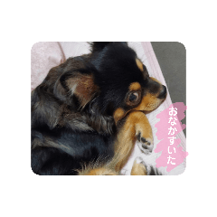 walt family_20251225121811